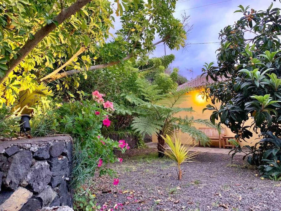 Rustic House La Montana Villa Breña Baja Buitenkant foto