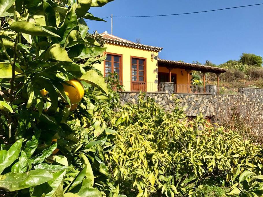 Rustic House La Montana Villa Breña Baja Buitenkant foto